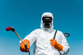 Best Organic or Eco-Friendly Pest Control  in Fort Walton Beach, FL